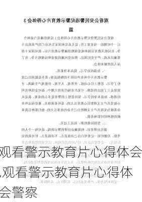 观看警示教育片心得体会,观看警示教育片心得体会警察-第3张图片-安安范文网