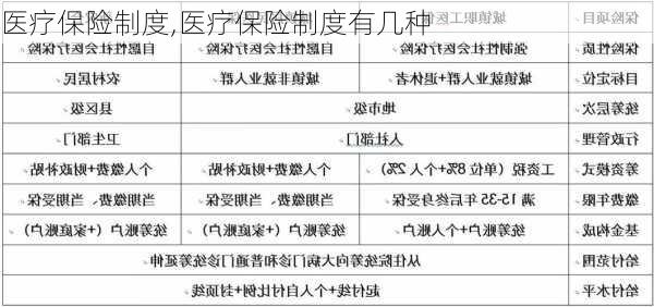 医疗保险制度,医疗保险制度有几种-第2张图片-安安范文网