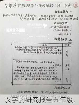 汉字的研究报告五年级,