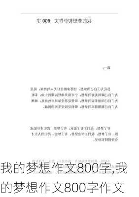 我的梦想作文800字,我的梦想作文800字作文-第2张图片-安安范文网