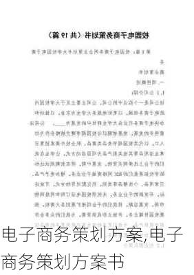 电子商务策划方案,电子商务策划方案书-第3张图片-安安范文网