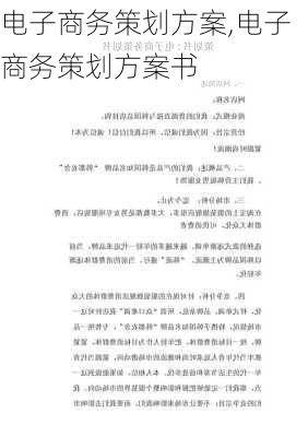 电子商务策划方案,电子商务策划方案书-第2张图片-安安范文网