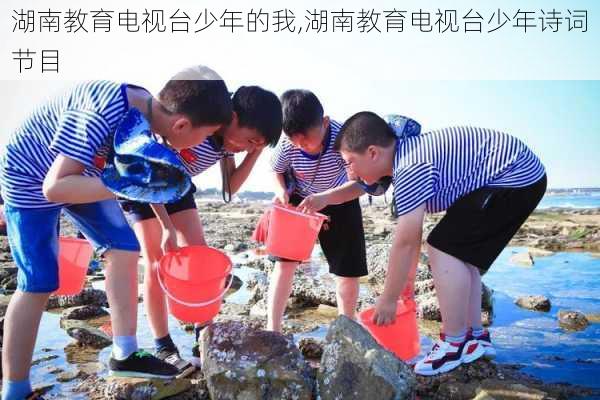 湖南教育电视台少年的我,湖南教育电视台少年诗词节目-第3张图片-安安范文网