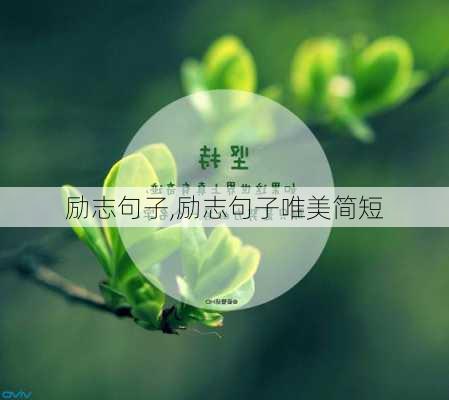 励志句子,励志句子唯美简短-第2张图片-安安范文网