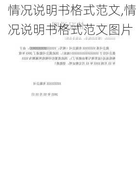 情况说明书格式范文,情况说明书格式范文图片-第3张图片-安安范文网