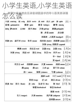 小学生英语,小学生英语怎么读-第1张图片-安安范文网