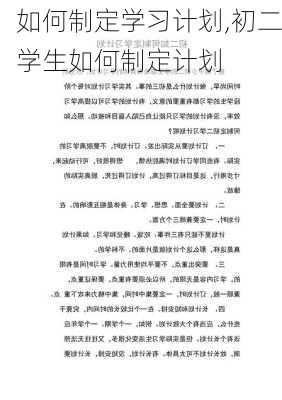 如何制定学习计划,初二学生如何制定计划-第3张图片-安安范文网