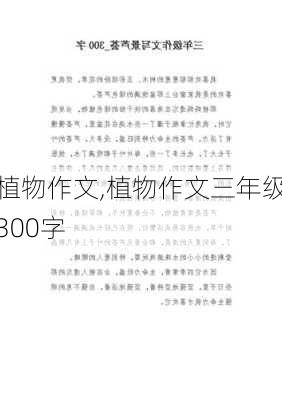 植物作文,植物作文三年级300字-第2张图片-安安范文网