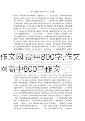 作文网 高中800字,作文网高中800字作文-第1张图片-安安范文网