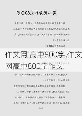 作文网 高中800字,作文网高中800字作文-第3张图片-安安范文网