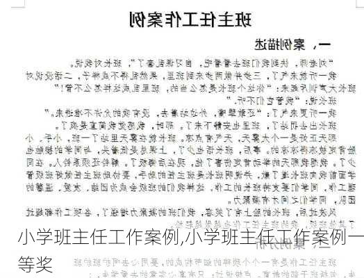 小学班主任工作案例,小学班主任工作案例一等奖-第3张图片-安安范文网