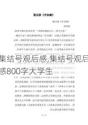 集结号观后感,集结号观后感800字大学生-第2张图片-安安范文网