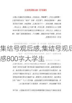 集结号观后感,集结号观后感800字大学生