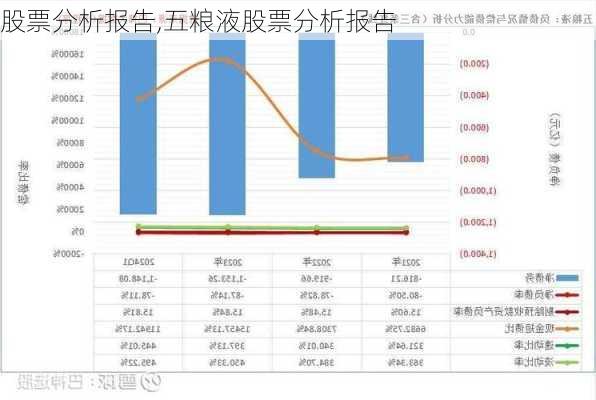 股票分析报告,五粮液股票分析报告-第1张图片-安安范文网