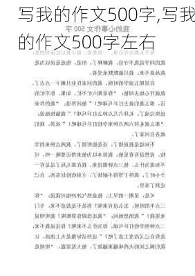 写我的作文500字,写我的作文500字左右-第2张图片-安安范文网