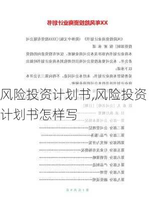 风险投资计划书,风险投资计划书怎样写-第3张图片-安安范文网