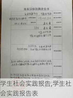 学生社会实践报告,学生社会实践报告表-第2张图片-安安范文网