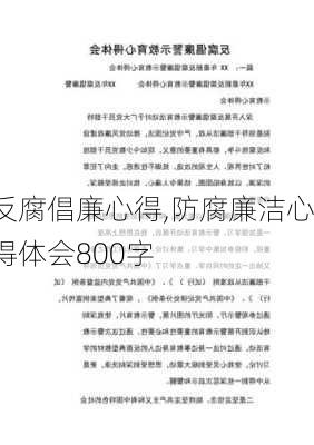 反腐倡廉心得,防腐廉洁心得体会800字-第1张图片-安安范文网