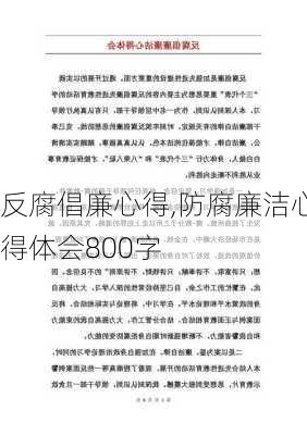 反腐倡廉心得,防腐廉洁心得体会800字-第3张图片-安安范文网