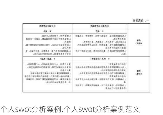 个人swot分析案例,个人swot分析案例范文