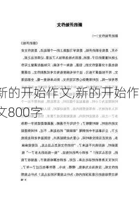 新的开始作文,新的开始作文800字-第2张图片-安安范文网