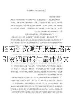 招商引资调研报告,招商引资调研报告最佳范文-第2张图片-安安范文网