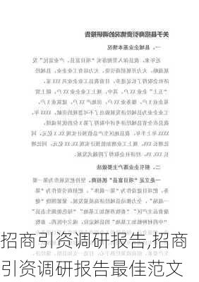 招商引资调研报告,招商引资调研报告最佳范文-第3张图片-安安范文网