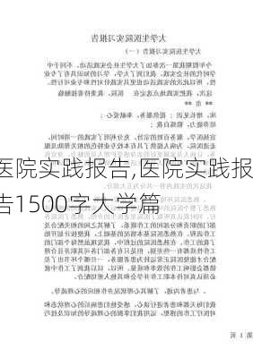 医院实践报告,医院实践报告1500字大学篇-第3张图片-安安范文网