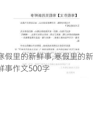 寒假里的新鲜事,寒假里的新鲜事作文500字