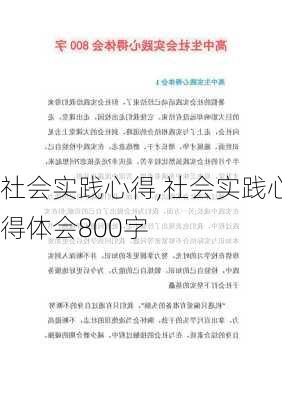 社会实践心得,社会实践心得体会800字-第1张图片-安安范文网