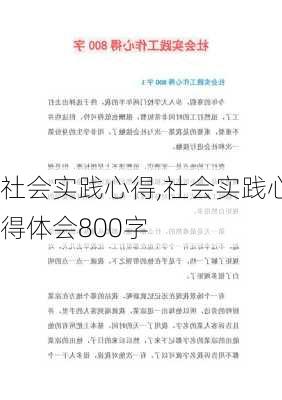 社会实践心得,社会实践心得体会800字-第2张图片-安安范文网