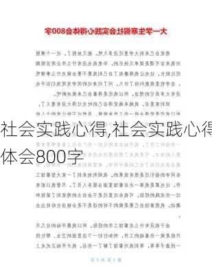 社会实践心得,社会实践心得体会800字-第3张图片-安安范文网