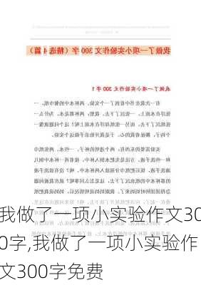 我做了一项小实验作文300字,我做了一项小实验作文300字免费-第2张图片-安安范文网