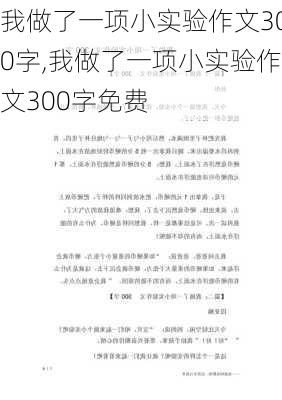 我做了一项小实验作文300字,我做了一项小实验作文300字免费-第3张图片-安安范文网