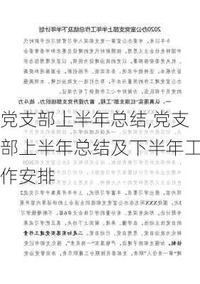 党支部上半年总结,党支部上半年总结及下半年工作安排-第3张图片-安安范文网