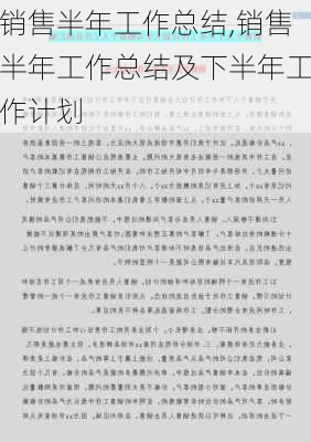 销售半年工作总结,销售半年工作总结及下半年工作计划-第2张图片-安安范文网