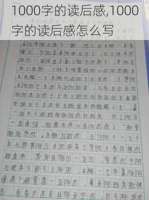 1000字的读后感,1000字的读后感怎么写-第2张图片-安安范文网