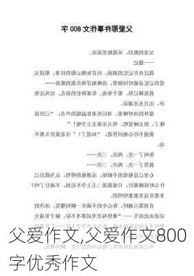 父爱作文,父爱作文800字优秀作文-第2张图片-安安范文网