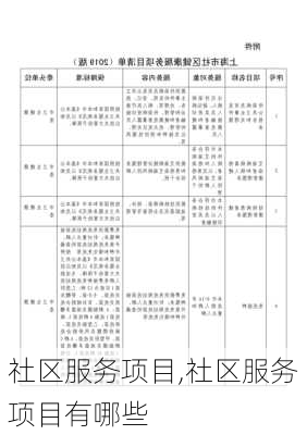 社区服务项目,社区服务项目有哪些-第2张图片-安安范文网