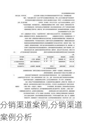 分销渠道案例,分销渠道案例分析-第3张图片-安安范文网