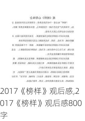 2017《榜样》观后感,2017《榜样》观后感800字