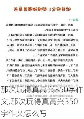 那次玩得真高兴350字作文,那次玩得真高兴350字作文怎么写-第2张图片-安安范文网