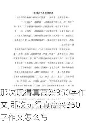 那次玩得真高兴350字作文,那次玩得真高兴350字作文怎么写-第3张图片-安安范文网