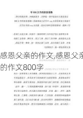 感恩父亲的作文,感恩父亲的作文800字-第3张图片-安安范文网