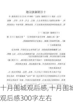 十月围城观后感,十月围城观后感300字左右-第2张图片-安安范文网