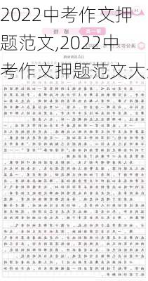 2022中考作文押题范文,2022中考作文押题范文大全-第2张图片-安安范文网