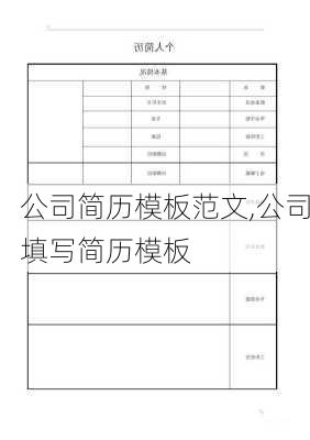 公司简历模板范文,公司填写简历模板-第3张图片-安安范文网