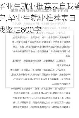 毕业生就业推荐表自我鉴定,毕业生就业推荐表自我鉴定800字-第3张图片-安安范文网