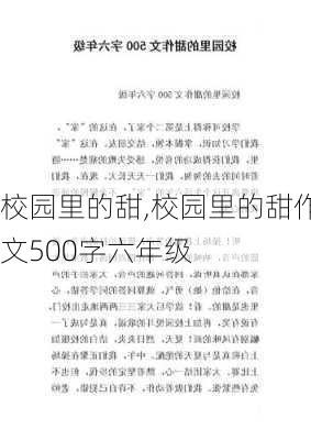 校园里的甜,校园里的甜作文500字六年级-第2张图片-安安范文网