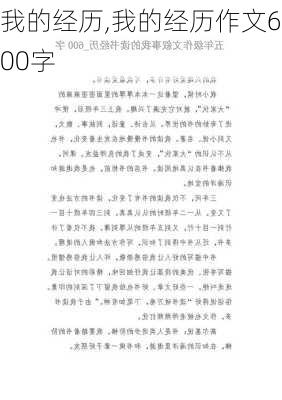 我的经历,我的经历作文600字-第2张图片-安安范文网